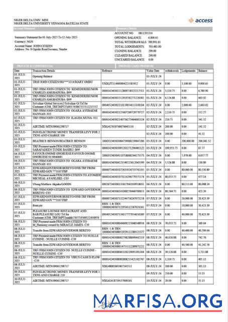 Downloadable Nigeria Access bank statement word sample
